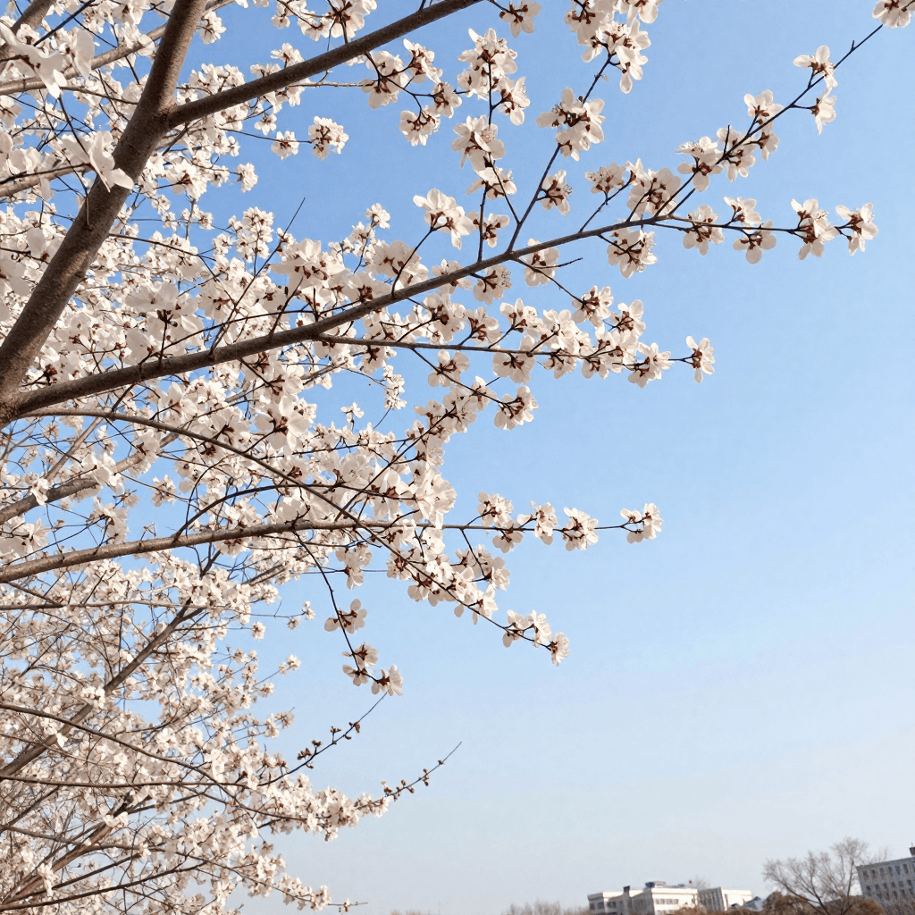 화창한 따뜻한 봄